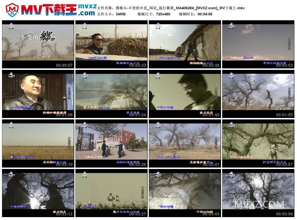 腾格尔-不变的乡恋_国语_流行歌曲_MA406284